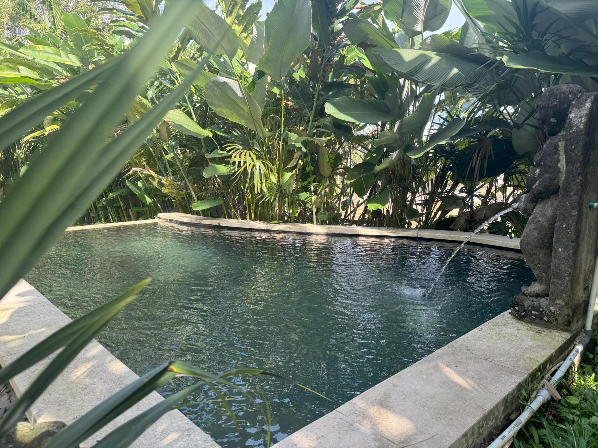 Dewa Jati Cottages Gianyar  Bagian luar foto