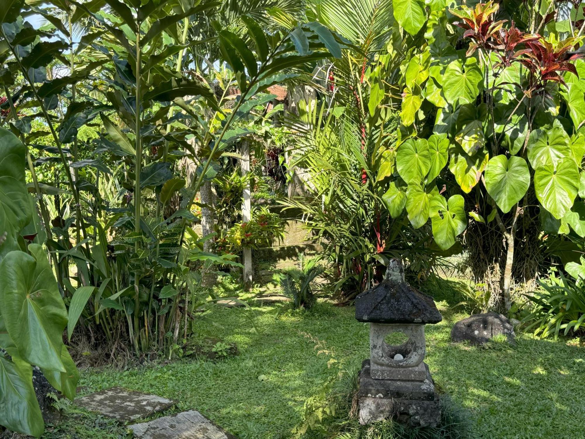 Dewa Jati Cottages Gianyar  Bagian luar foto