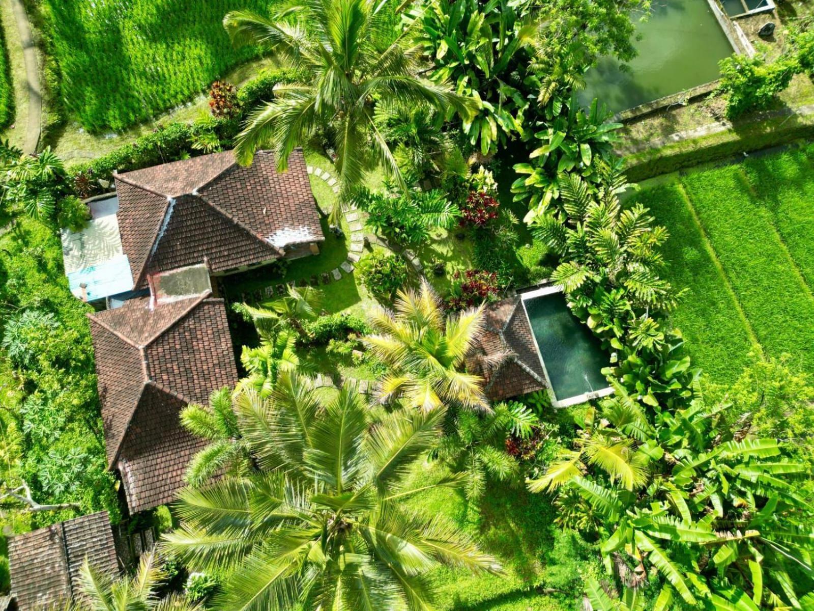 Dewa Jati Cottages Gianyar  Bagian luar foto