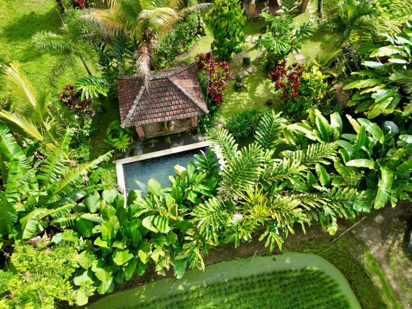 Dewa Jati Cottages Gianyar  Bagian luar foto