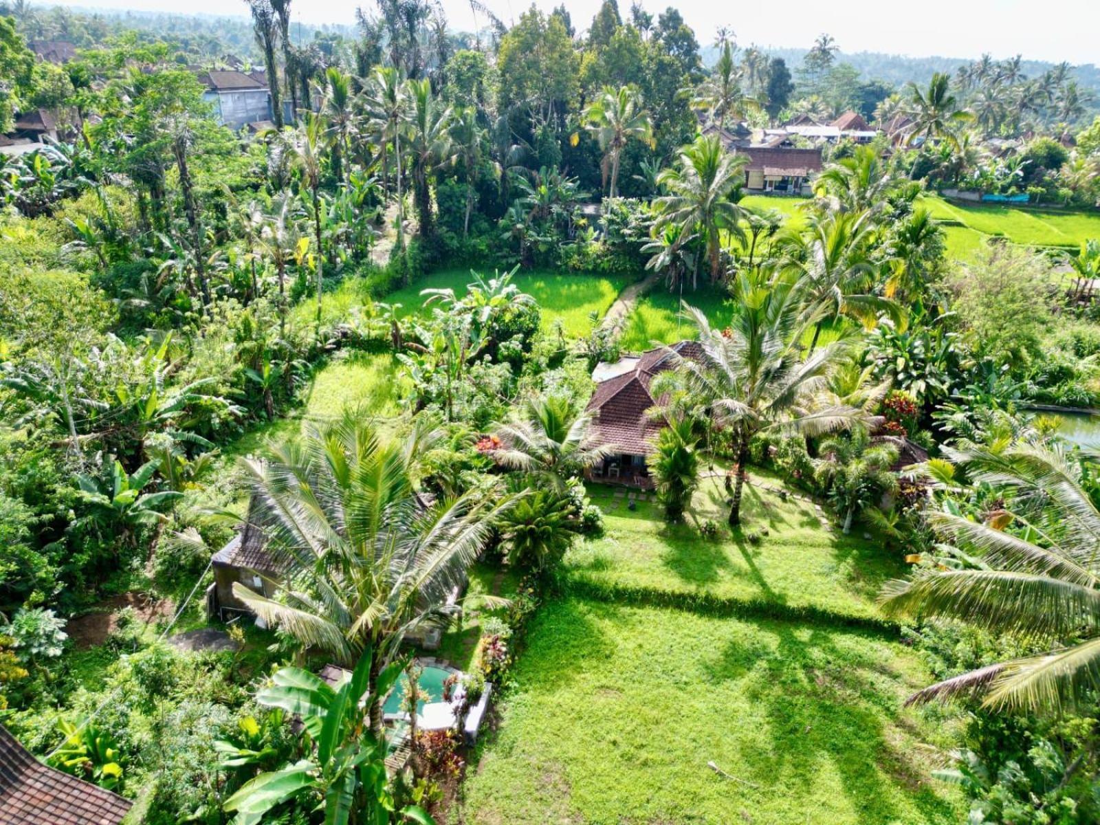Dewa Jati Cottages Gianyar  Bagian luar foto