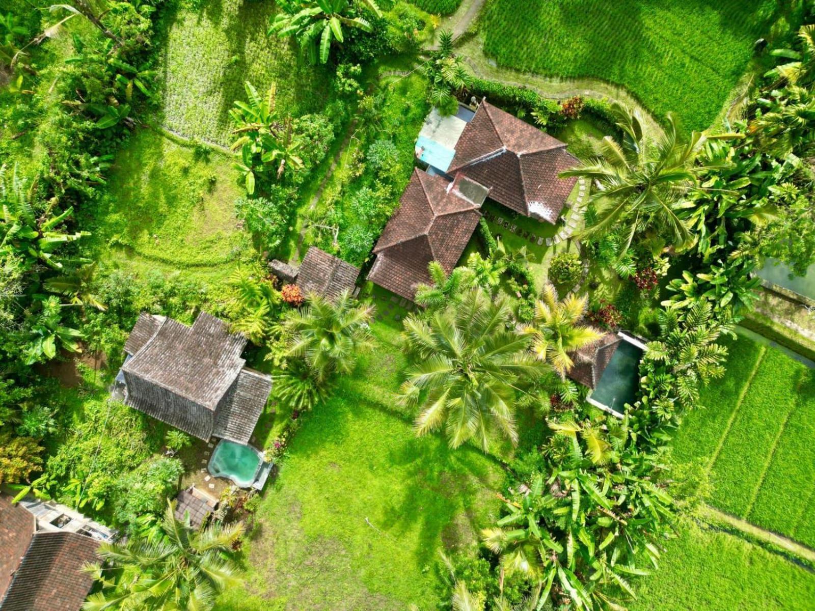 Dewa Jati Cottages Gianyar  Bagian luar foto